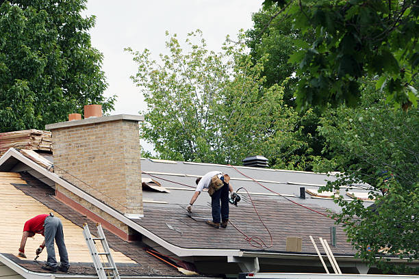 Best Roof Gutter Cleaning  in Fussels Corner, FL